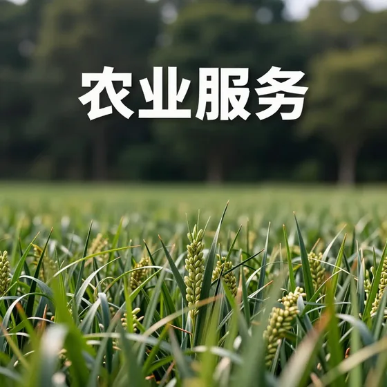 农业服务